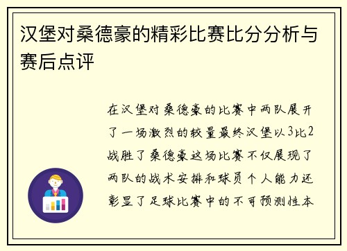 汉堡对桑德豪的精彩比赛比分分析与赛后点评