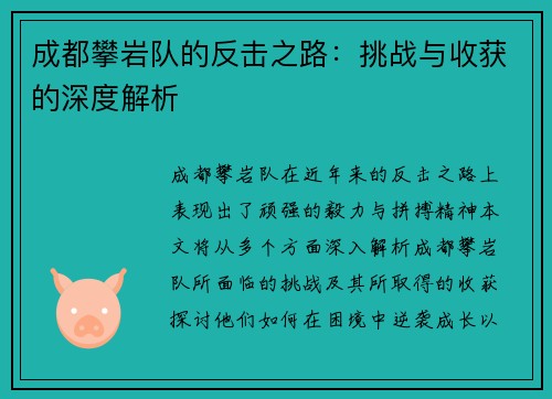 成都攀岩队的反击之路：挑战与收获的深度解析