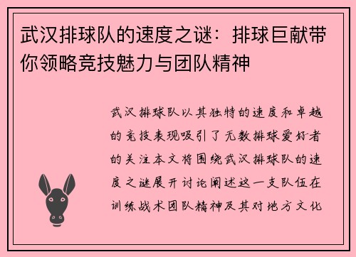 武汉排球队的速度之谜：排球巨献带你领略竞技魅力与团队精神