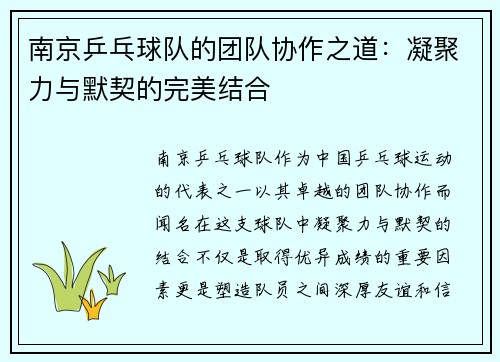 南京乒乓球队的团队协作之道：凝聚力与默契的完美结合